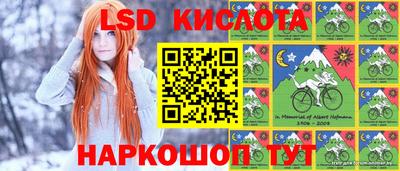 дмт Тара
